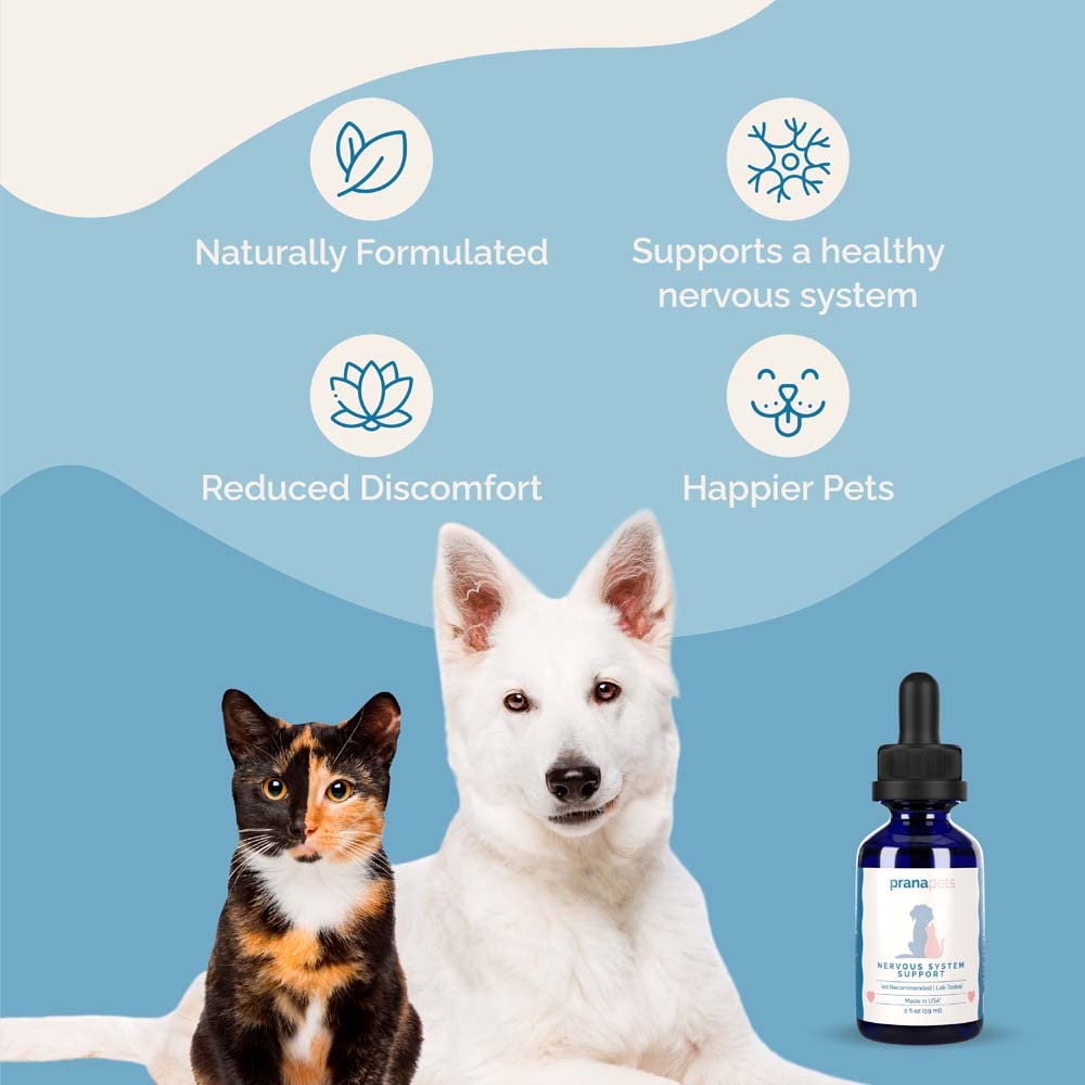 Herbal Formula for Dogs and Cats 2 Pack H60786