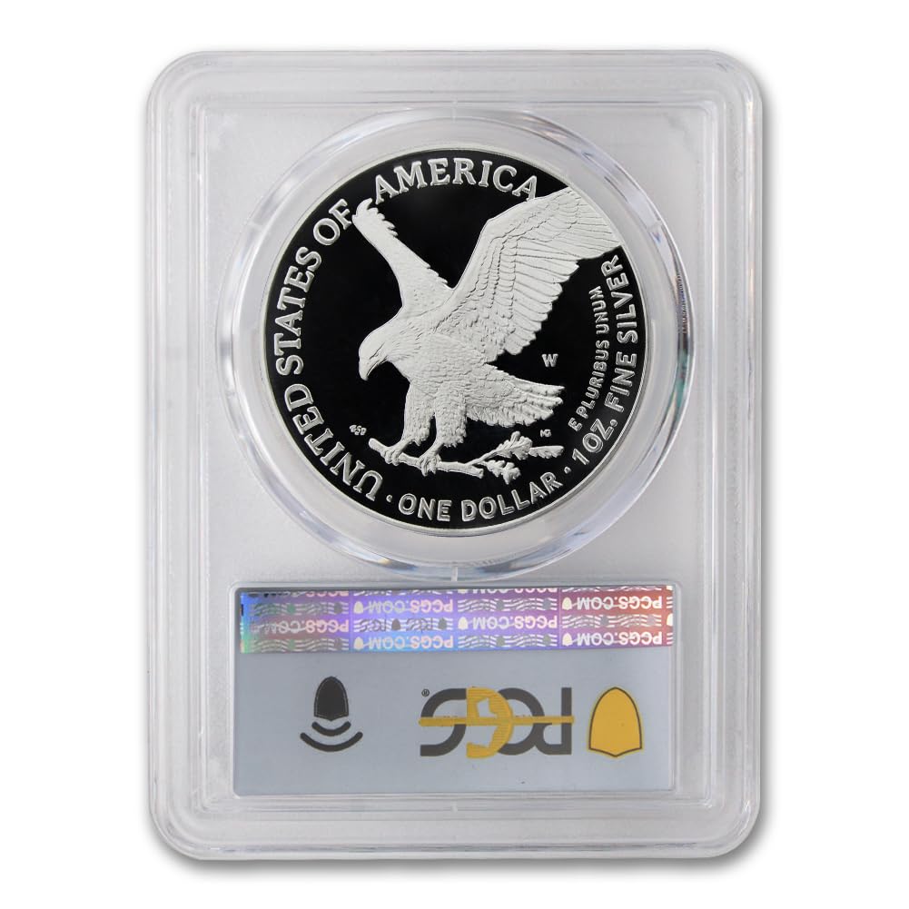 1 oz American Silver Eagle Coin U424534