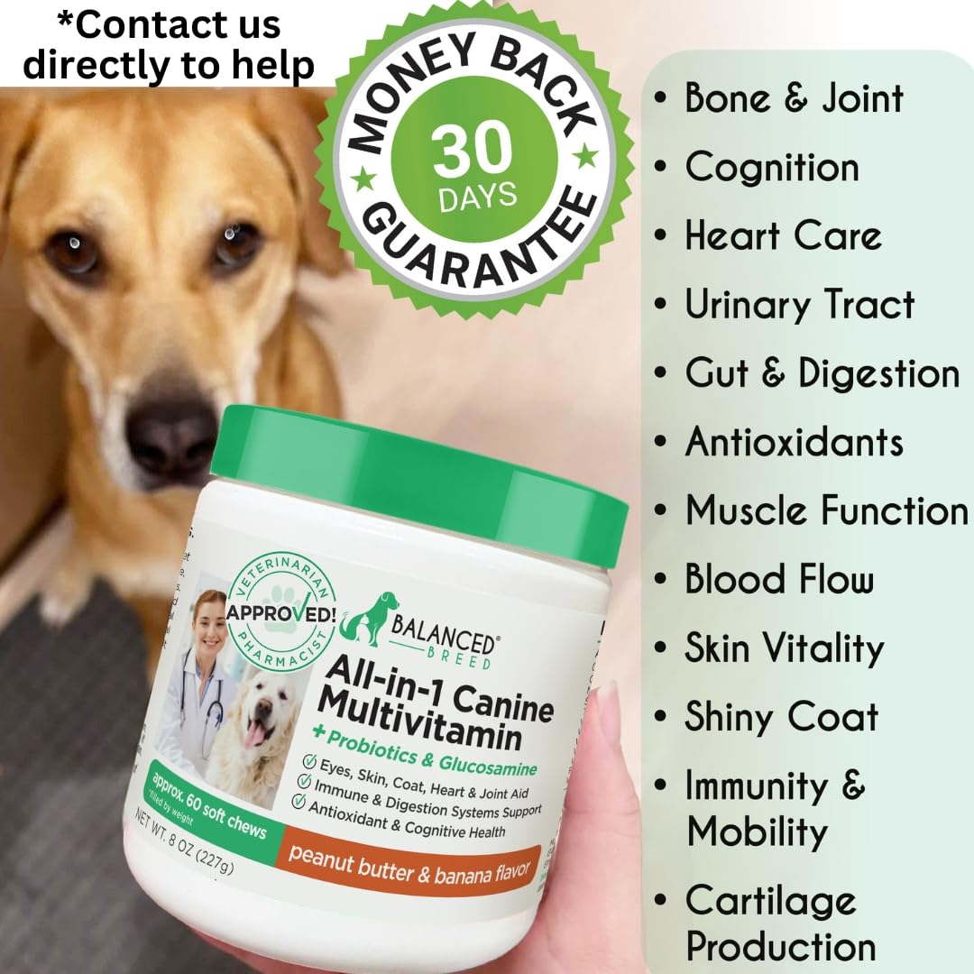 Dog Multivitamin Soft Chew Glucosamine N877915