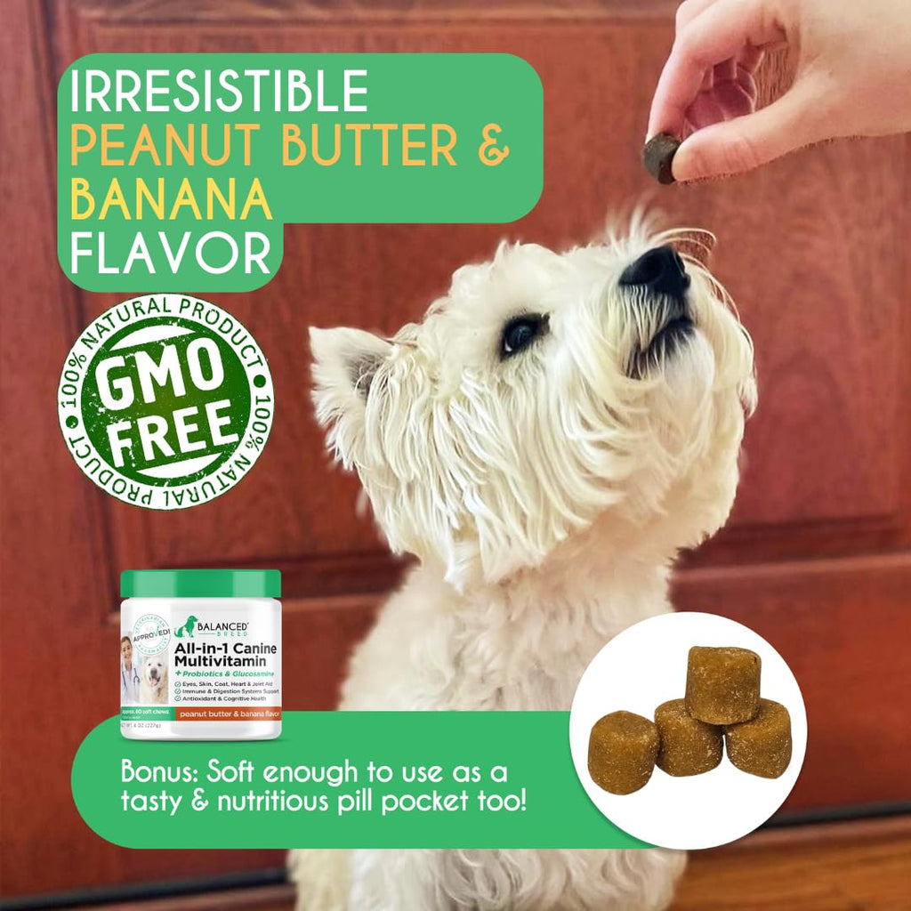 Dog Multivitamin Soft Chew Glucosamine N877915