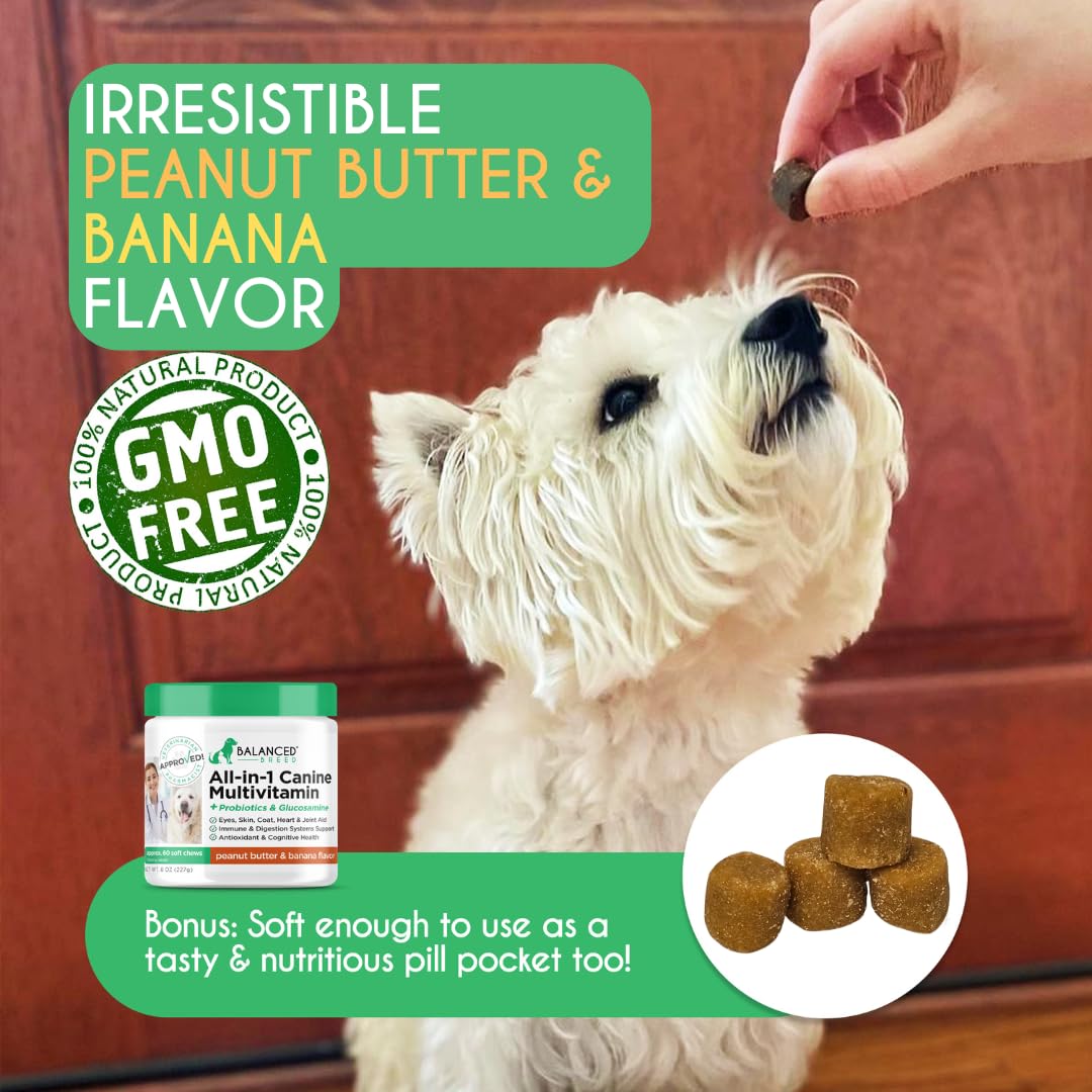 Dog Multivitamin Soft Chew Glucosamine N877915