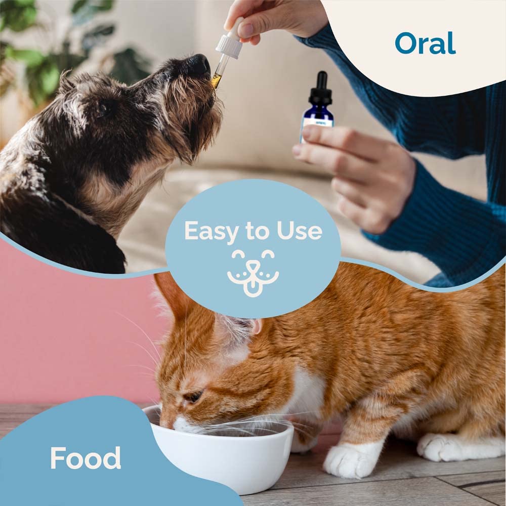 Herbal Formula for Dogs and Cats 2 Pack H60786
