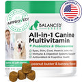 Dog Multivitamin Soft Chew Glucosamine N877915