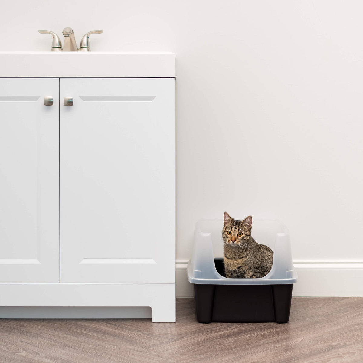 High Sided Cat Litter Box with Scatter Shield, Black A1562