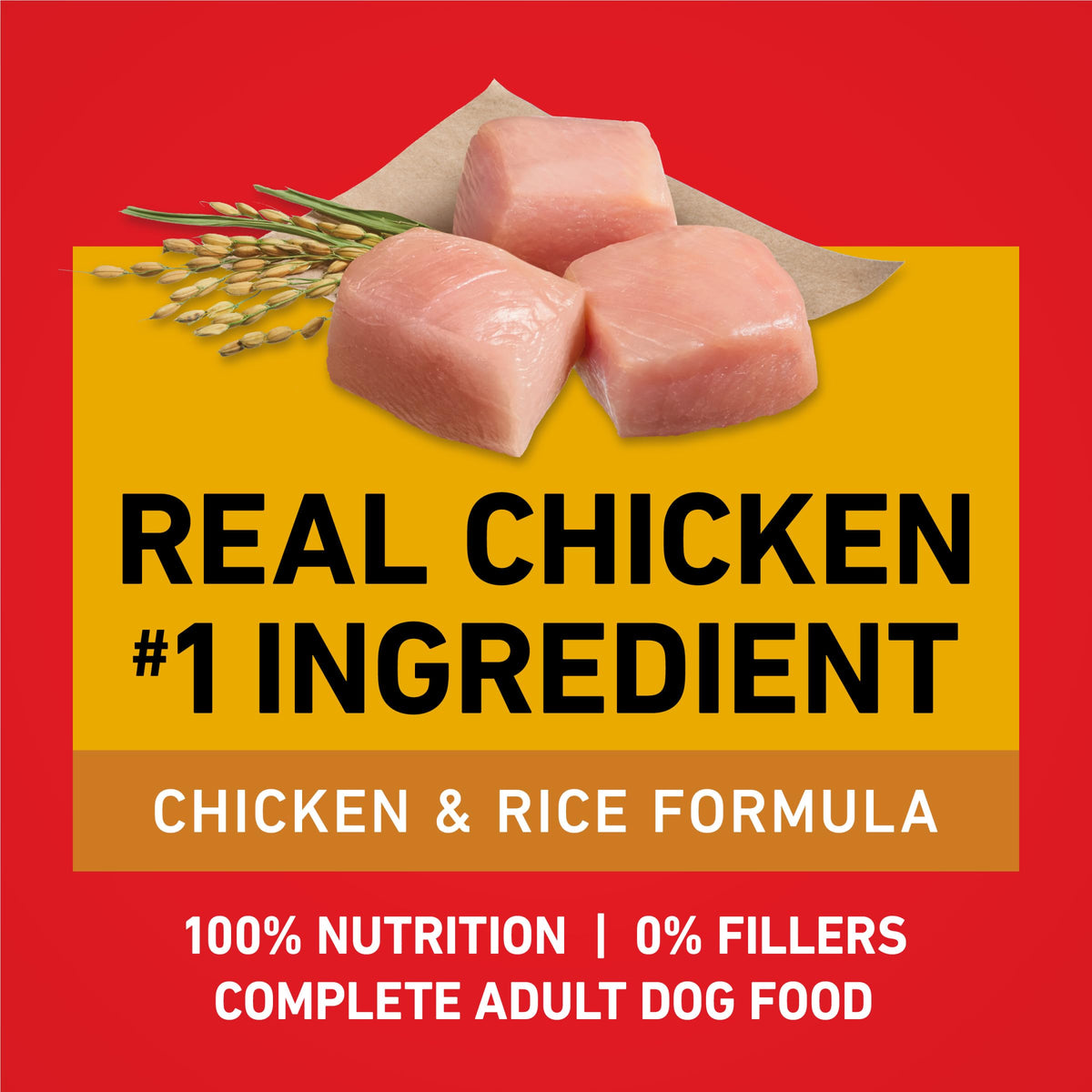 Chicken & Rice Formula Dry Dog Food 8 lb Bag M240630