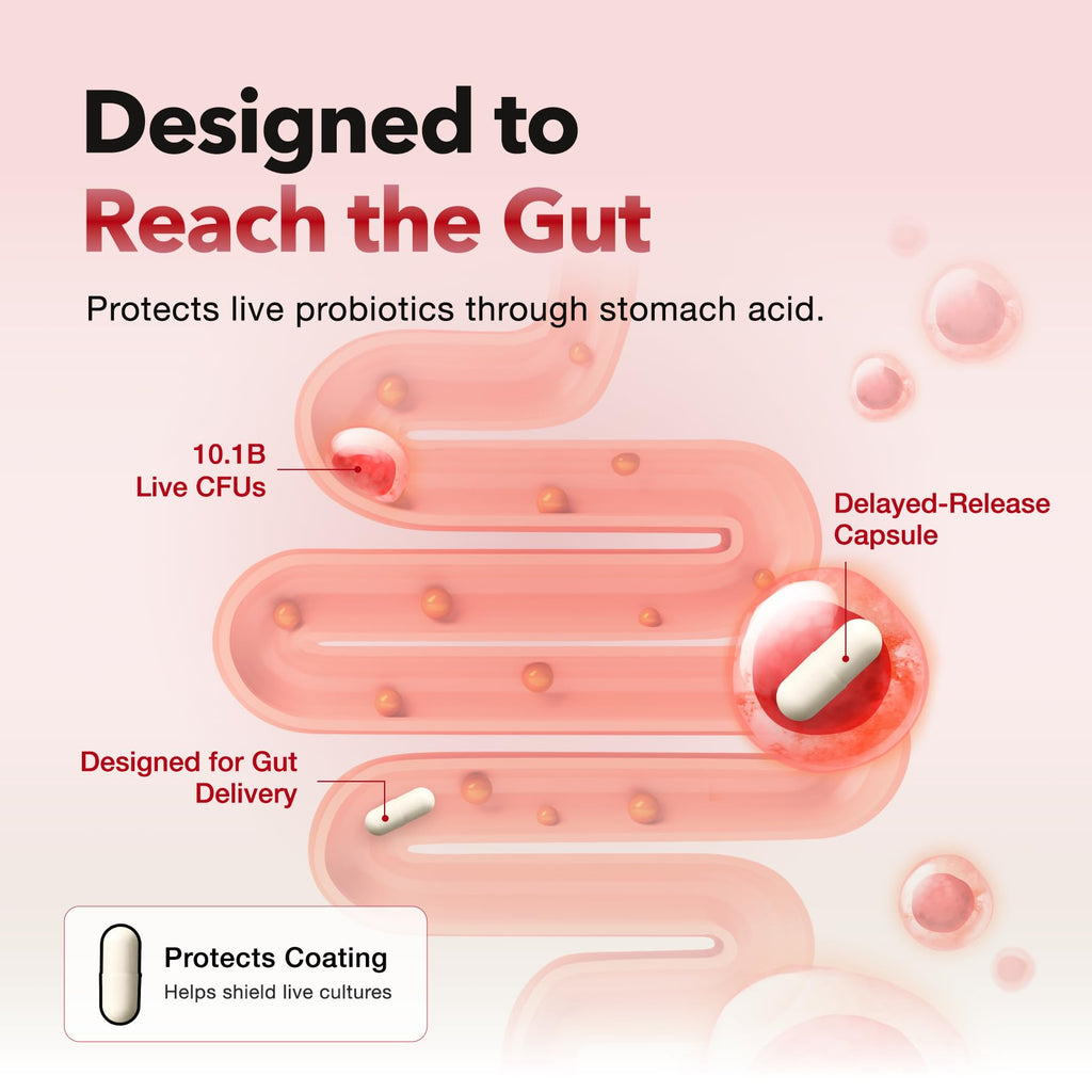 Probiotics for Bloating Relief 30 Capsules Z508
