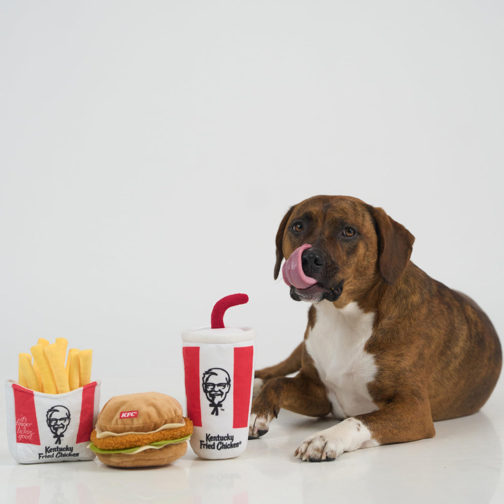 3-Piece Plush Dog Toy Set V9603