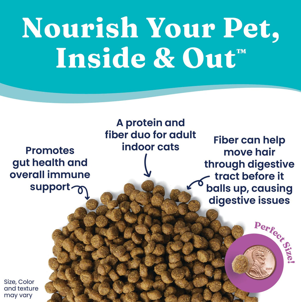Salmon Dry Cat Food and Wet Cat Food Variety Pack T140307