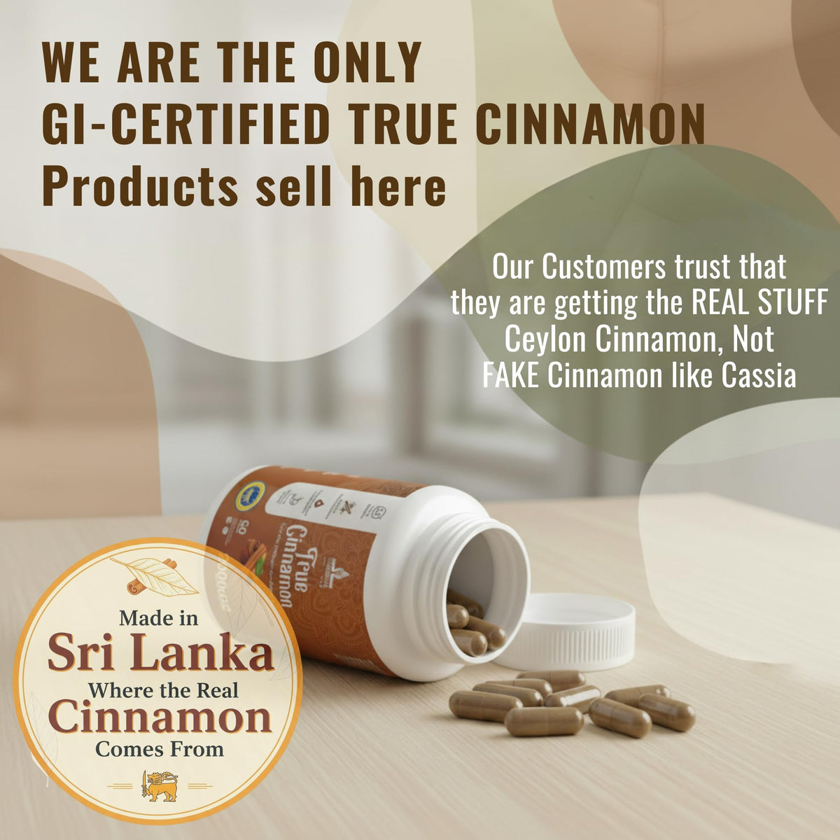 Pure Ceylon Cinnamon Capsules, 2,000mg, Non-GMO, Gluten-Free L538