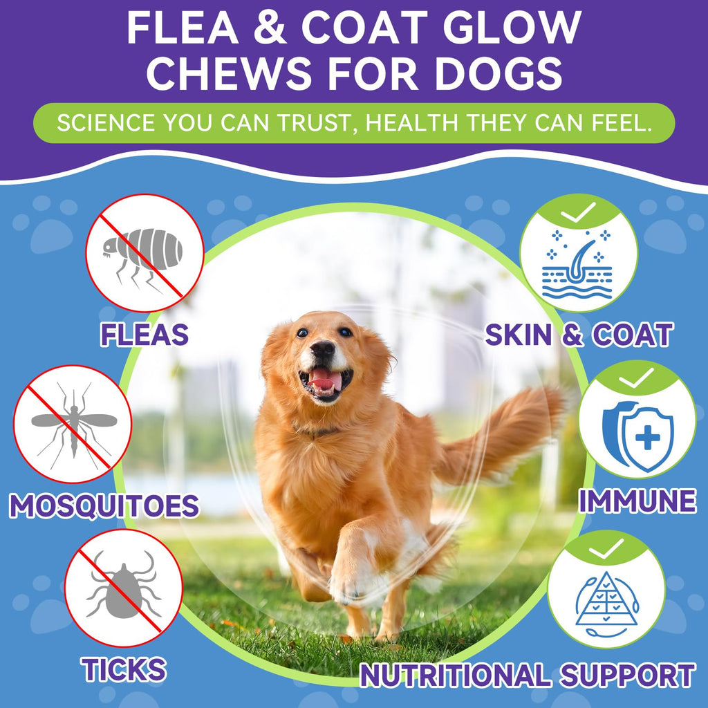 Flea and Tick Prevention for Dogs F364