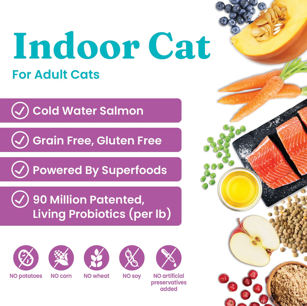 Salmon Dry Cat Food and Wet Cat Food Variety Pack T140307