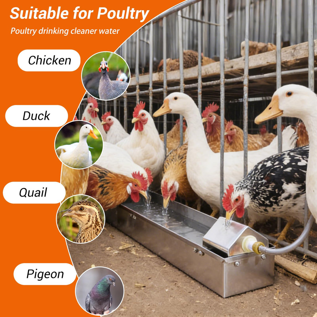 1 Gallon Stainless Metal Automatic Chicken Waterer Dispenser A160505