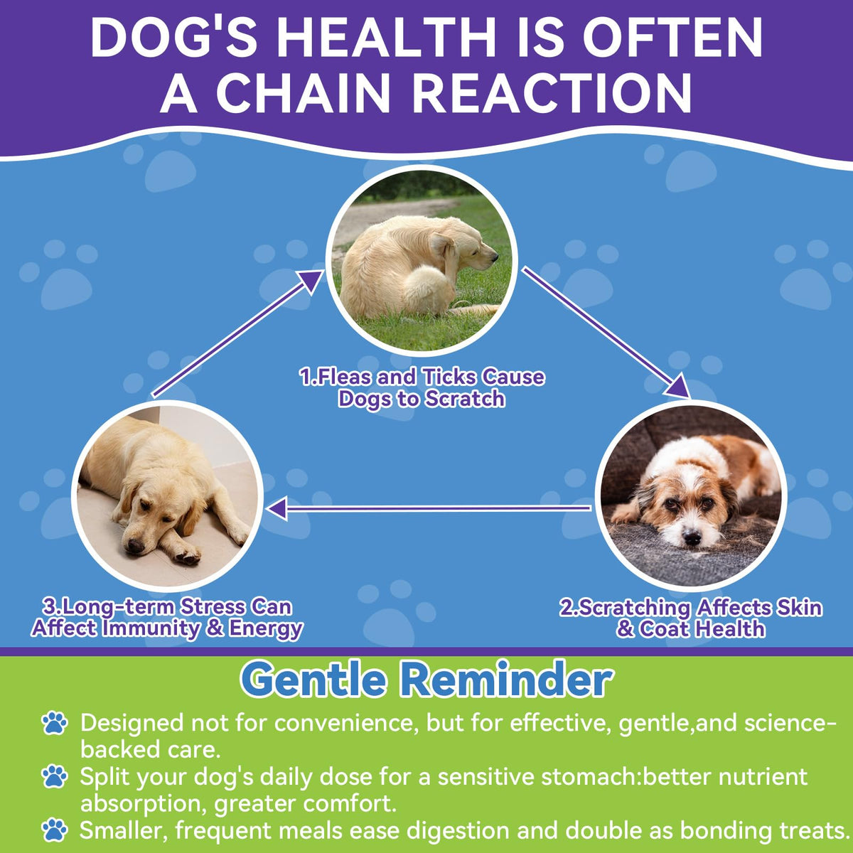 Flea and Tick Prevention for Dogs F364