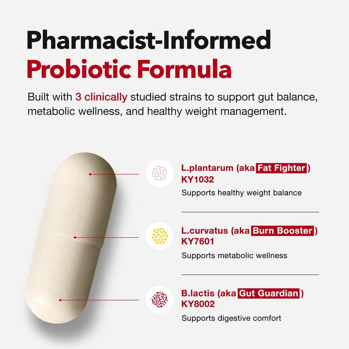 Probiotics for Bloating Relief 30 Capsules Z508