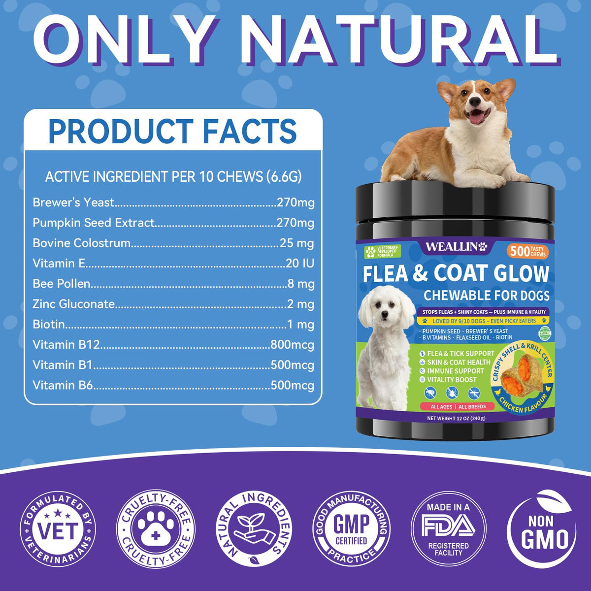 Flea and Tick Prevention for Dogs F364