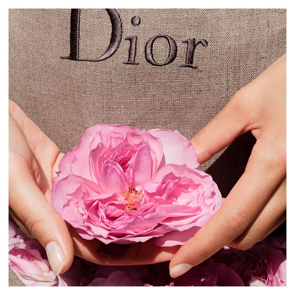 Rose EDT Spray 1.7 oz P877765