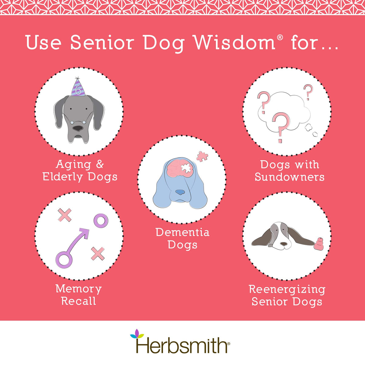 Senior Dog Supplement 60ct Small Chews D6879