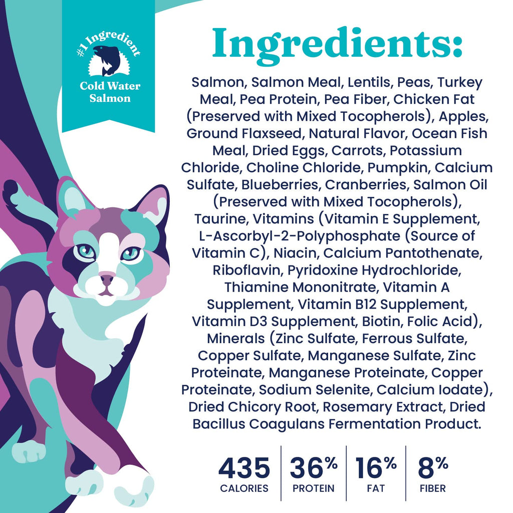 Salmon Dry Cat Food and Wet Cat Food Variety Pack T140307