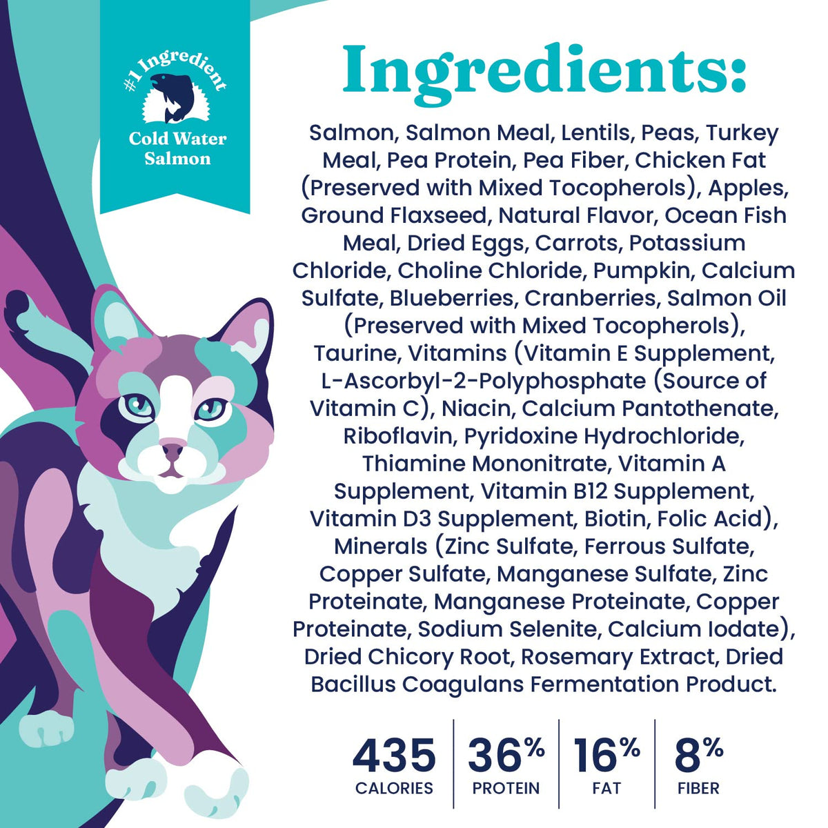 Salmon Dry Cat Food and Wet Cat Food Variety Pack T140307