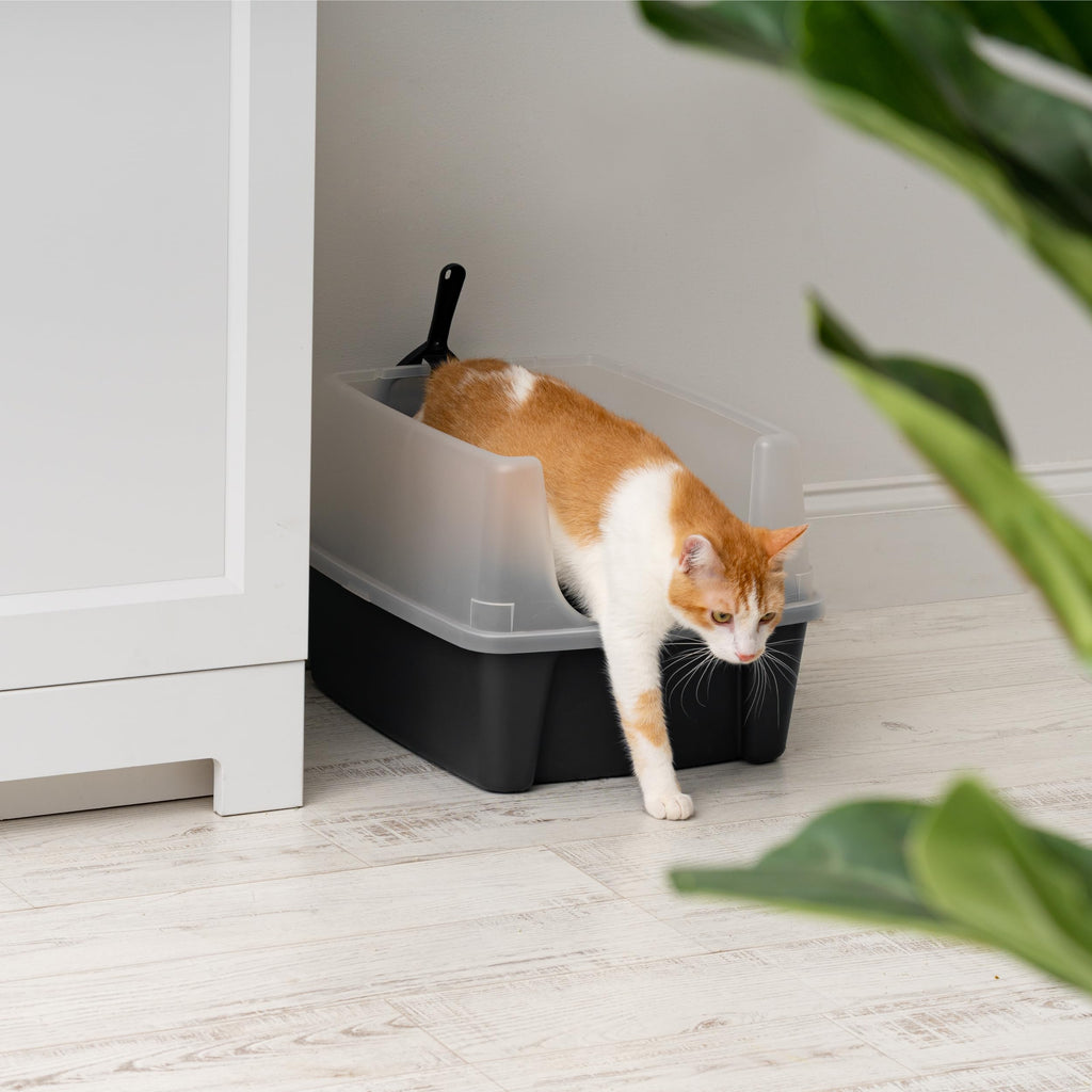 High Sided Cat Litter Box with Scatter Shield, Black A1562