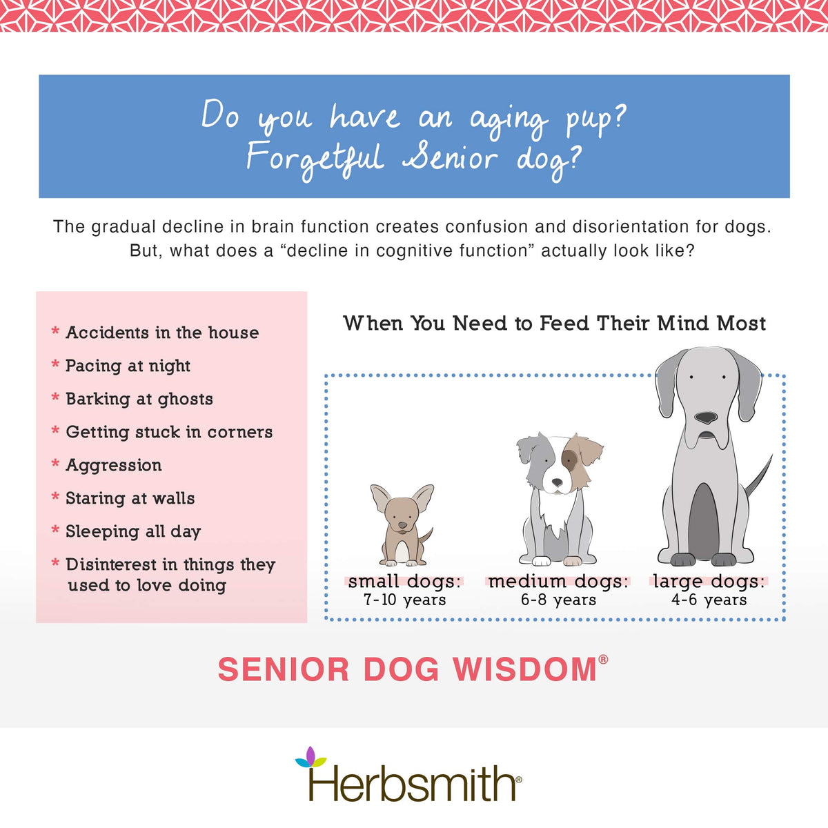 Senior Dog Supplement 60ct Small Chews D6879