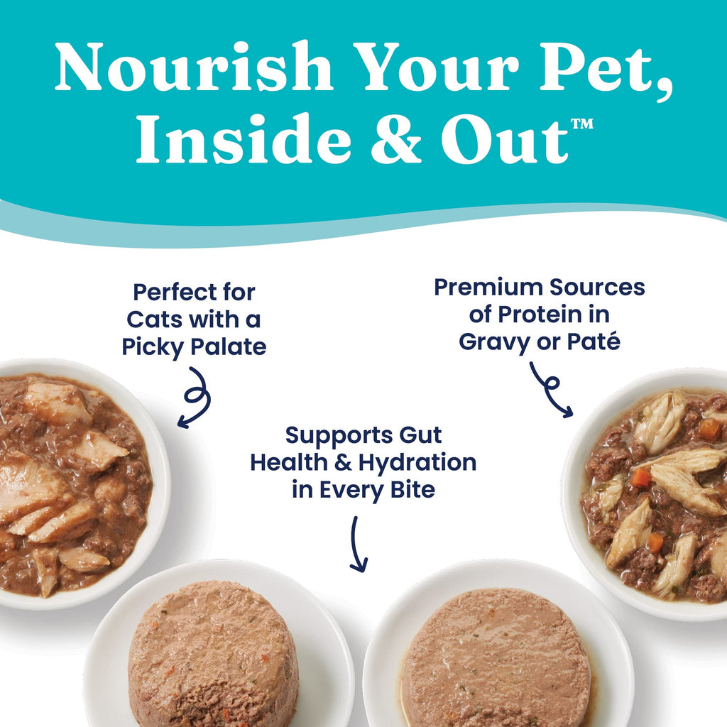 Salmon Dry Cat Food and Wet Cat Food Variety Pack T140307