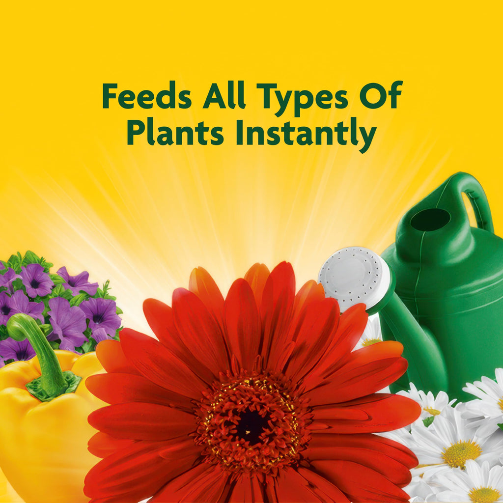Liquid All Purpose Plant Food Concentrate 32 oz R7450