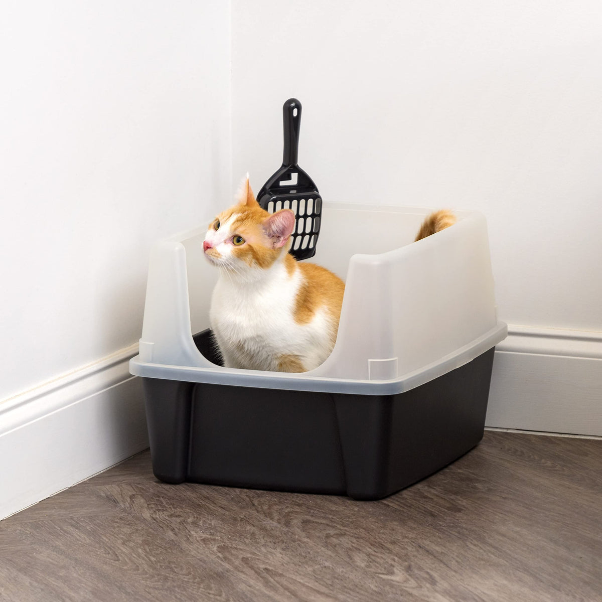 High Sided Cat Litter Box with Scatter Shield, Black A1562