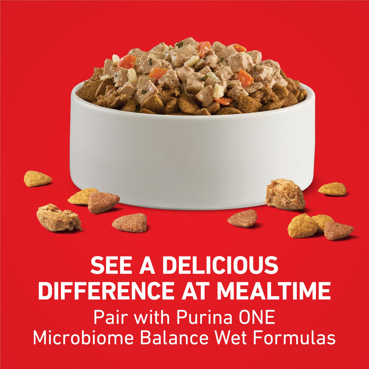 Chicken & Rice Formula Dry Dog Food 8 lb Bag M240630