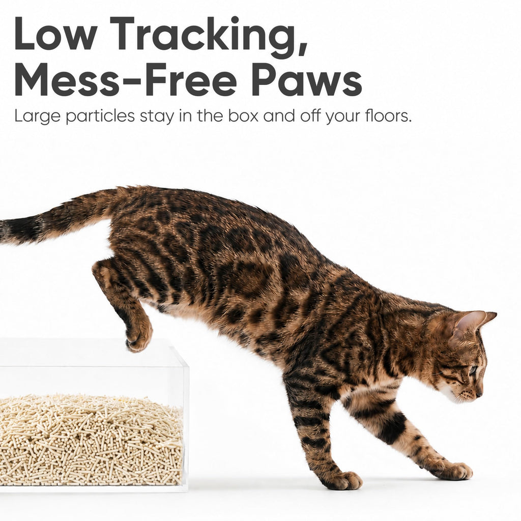 Unscented Plant-Based Clumping Tofu Cat Litter 12 lb E718846