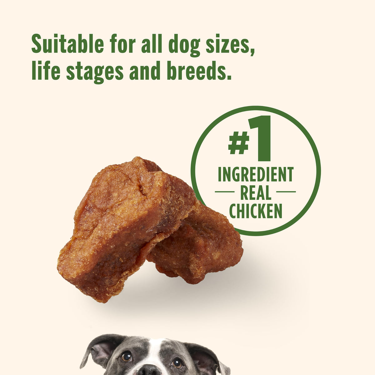 Chicken Dog Treats 30 oz Pouch A878