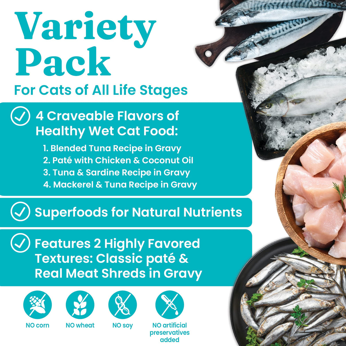Salmon Dry Cat Food and Wet Cat Food Variety Pack T140307