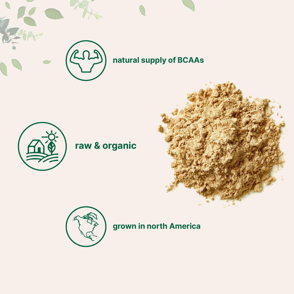 Organic Pea Protein Powder, 1KG (2.2 Pounds), Plant-Based Vegan Q950682