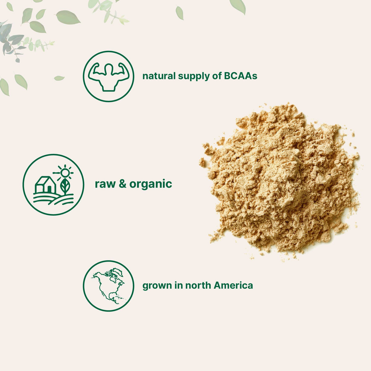Organic Pea Protein Powder, 1KG (2.2 Pounds), Plant-Based Vegan Q950682