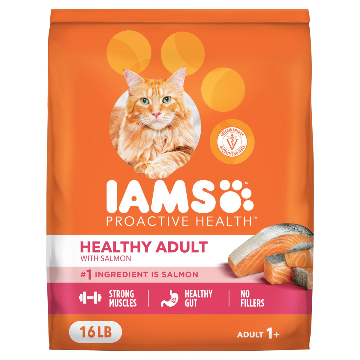 Dry Cat Food, Salmon, 16 lb U130