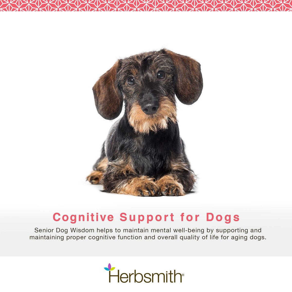Senior Dog Supplement 60ct Small Chews D6879
