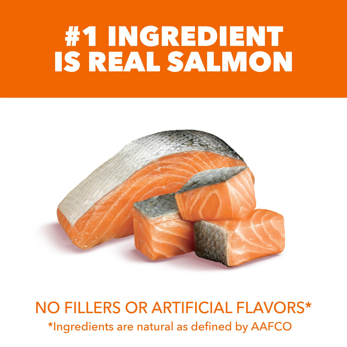 Dry Cat Food, Salmon, 16 lb U130