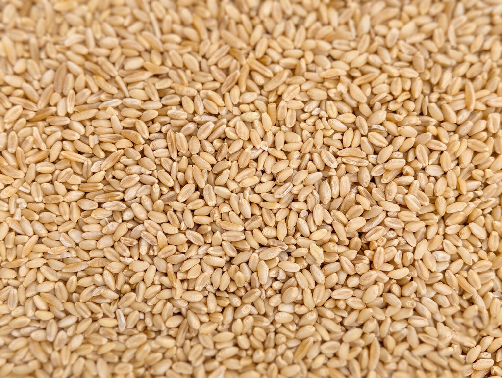 Organic Hard White Wheat Berries 25 Pounds V21246