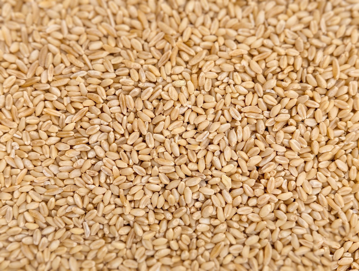 Organic Hard White Wheat Berries 25 Pounds V21246