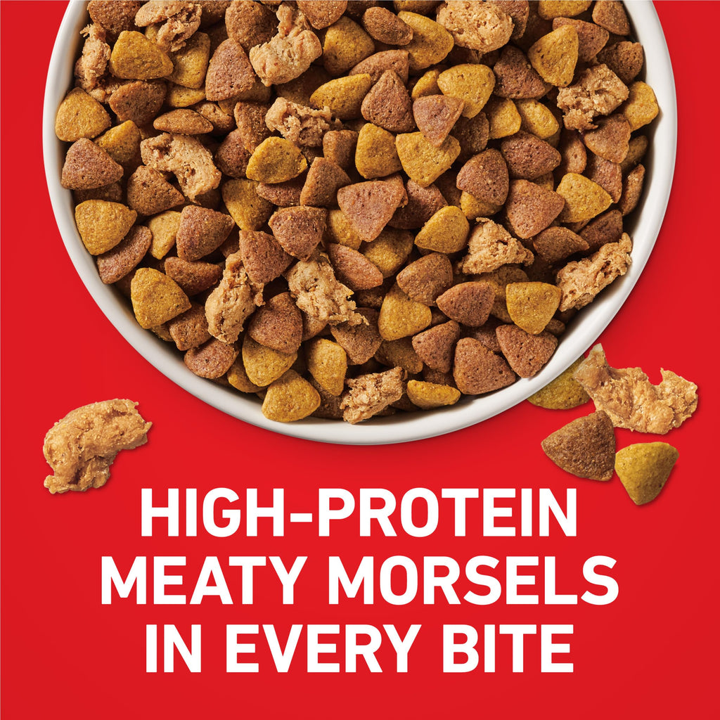 Chicken & Rice Formula Dry Dog Food 8 lb Bag M240630